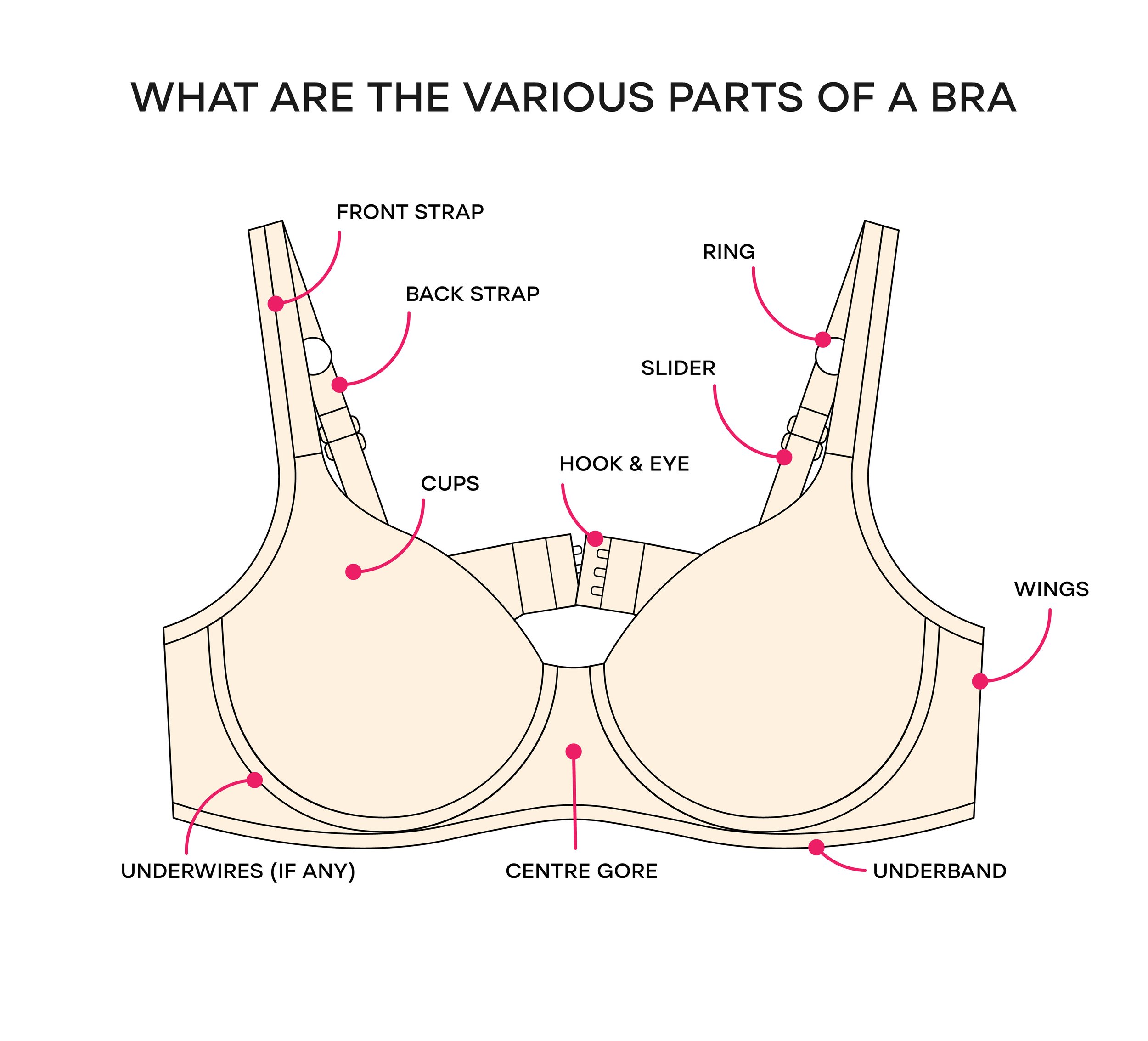 Elaine s Step By Step Guide and Checklist for a Professional Bra Fitting The Bra Recyclers